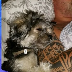 Meet your Posher, Natalie